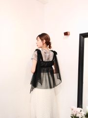 Faye ribbon sheer blouse